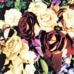 オネスト/ＣＤ/BVCP-157