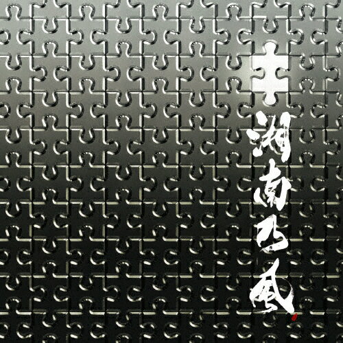 パズル（初回限定盤）/ＣＤシングル（１２ｃｍ）/TFCC-89509