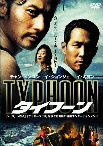 タイフーン 洋画 DRZS-7040