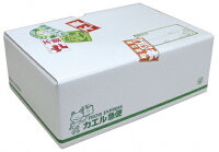 لعبة+دمر+اعصابك+2 楽天市場】フジテレビジョン 【初回限定生産 ...