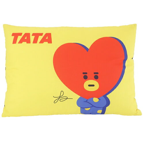 ＢＴ２１　ピロー＿ＴＡＴＡ　枕