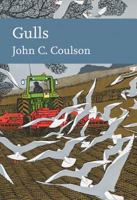 Gulls/WILLIAM COLLINS/Professor John C. Coulson