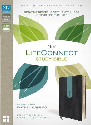 Life Connect Study Bible-NIV: Growing Deeper, Growing Stronger in Your Spiritual Life/ZONDERVAN PUB HOUSE/Wayne Cordeiro
