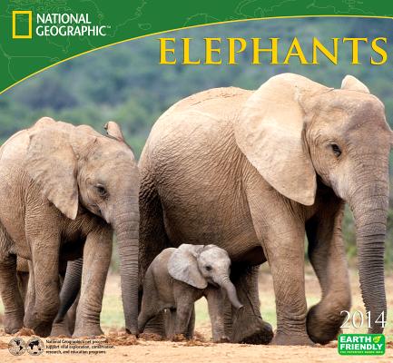 Elephants 2014/ZEBRA PUB/National Geographic