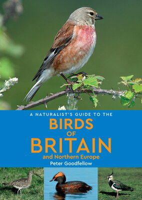 A Naturalist's Guide to the Birds of Britain & Northern Europe Third Edition,/JOHN BEAUFOY/Peter Goodfellow