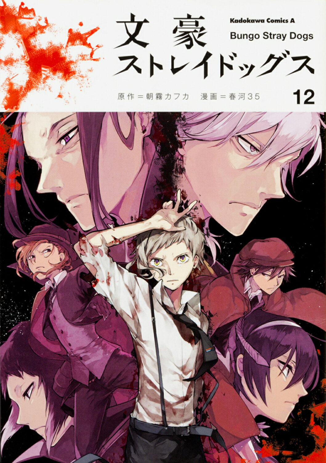 文豪ストレイドッグス １２/ＫＡＤＯＫＡＷＡ/朝霧カフカ