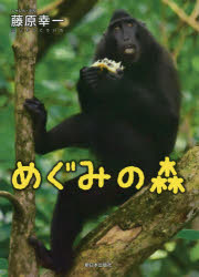 めぐみの森/新日本出版社/藤原幸一