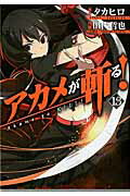 アカメが斬る！ １３/スクウェア・エニックス/田代哲也