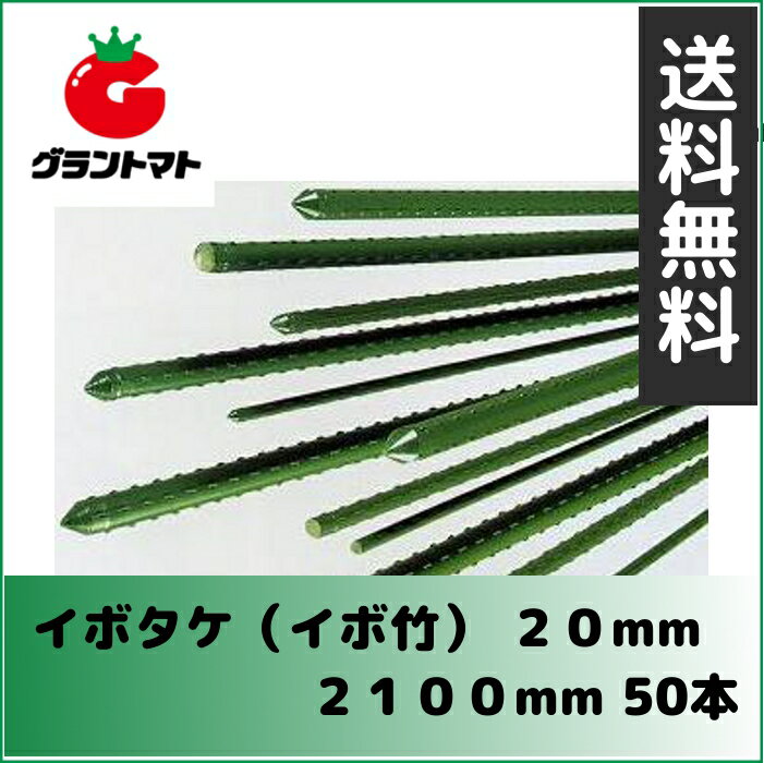 【セキスイ樹脂】イボタケ(イボ竹) 20mm 2100mm パック売り50本入り【送料無料】