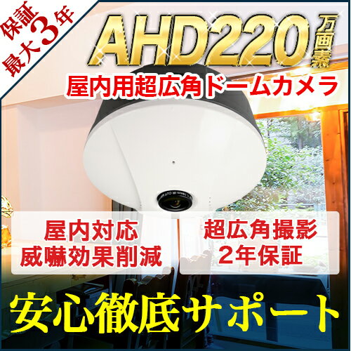 防犯カメラ 監視カメラ【ポイント10倍 10/15 23:59まで】 AHD220万画素 180度撮影屋内用超広角カメラ【RD-CA240】