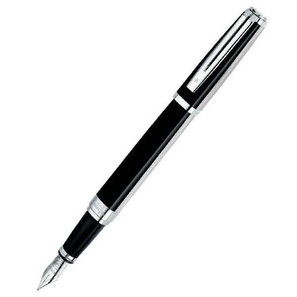 ウォーターマン WATERMAN エクセプション 万年筆 ナイト&デイ プラチナST F/Mサイズ S222316
