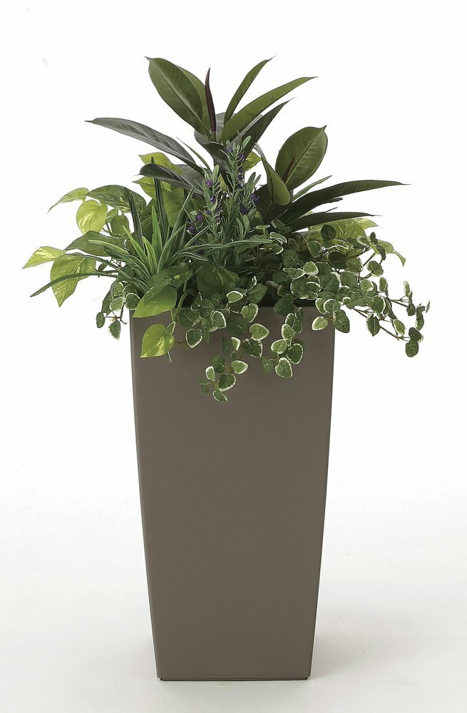 【光触媒観葉植物】アート植栽L〔フロアタイプ(ハイサイズ)〕/光触媒 観葉植物 ウンベラータ フェイクグリーン 花 胡蝶蘭 開店祝い 開業祝い 誕生祝い 造花 アートフレーム おしゃれ【L】