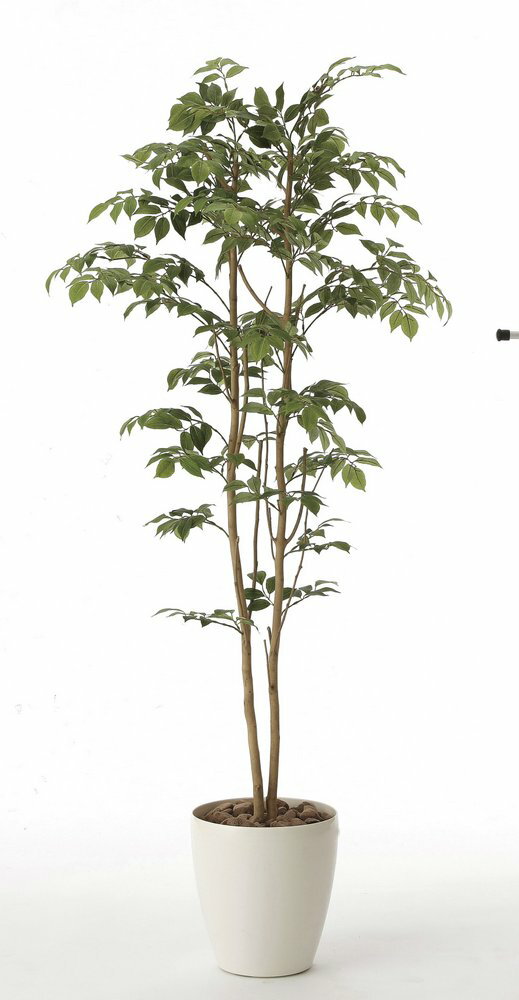 【光触媒観葉植物】マウンテンアッシュ1.6〔フロアタイプ(ハイサイズ)〕/光触媒 観葉植物 ウンベラータ フェイクグリーン 花 胡蝶蘭 開店祝い 開業祝い 誕生祝い 造花 アートフレーム おしゃれ【L】