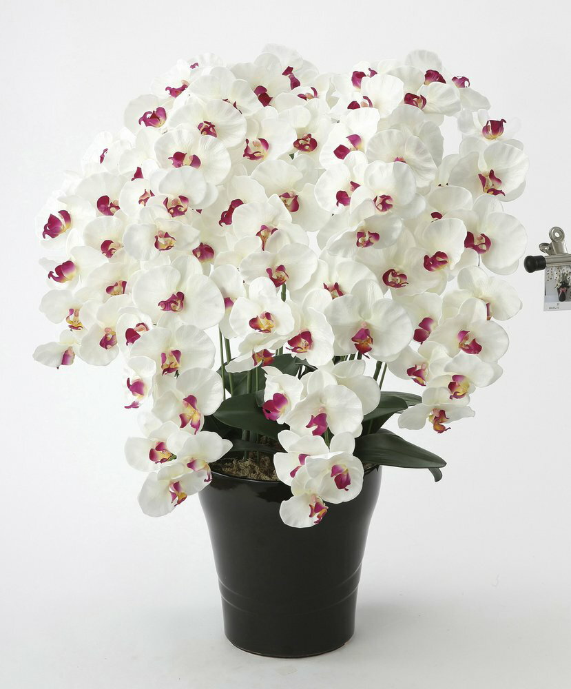 【アートフラワー 造花】プレミアム胡蝶蘭7本立W/AB〔フロアタイプ〕/光触媒 観葉植物 ウンベラータ フェイクグリーン 花 胡蝶蘭 開店祝い 開業祝い 誕生祝い 造花 アートフレーム おしゃれ【L】