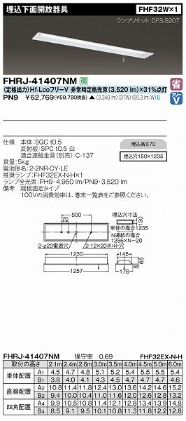 FHRJ-41407NM-PN9 【受注生産品】 東芝 非常用照明器具 532P15May16 lucky5days