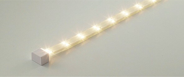 特別な ERX1123022 遠藤照明 防湿防水テープライト LED
