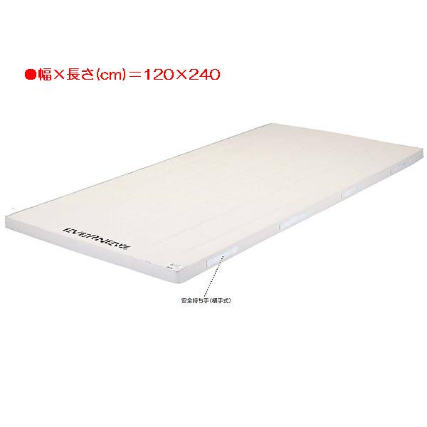5cm厚抗菌合成スポンジマット(枚) EKM112 (JS83590) 送料ランク【D】 【エバニュー】【QBH33】