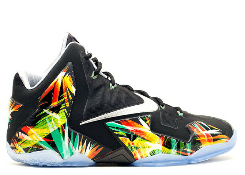 ナイキ NIKE バスケットボール レブロン ジェームズ BASKETBALL LEBRON JAMES 11 EVERGLADES