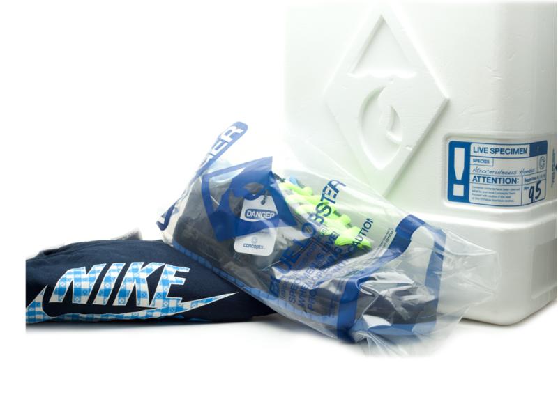blue lobster sb