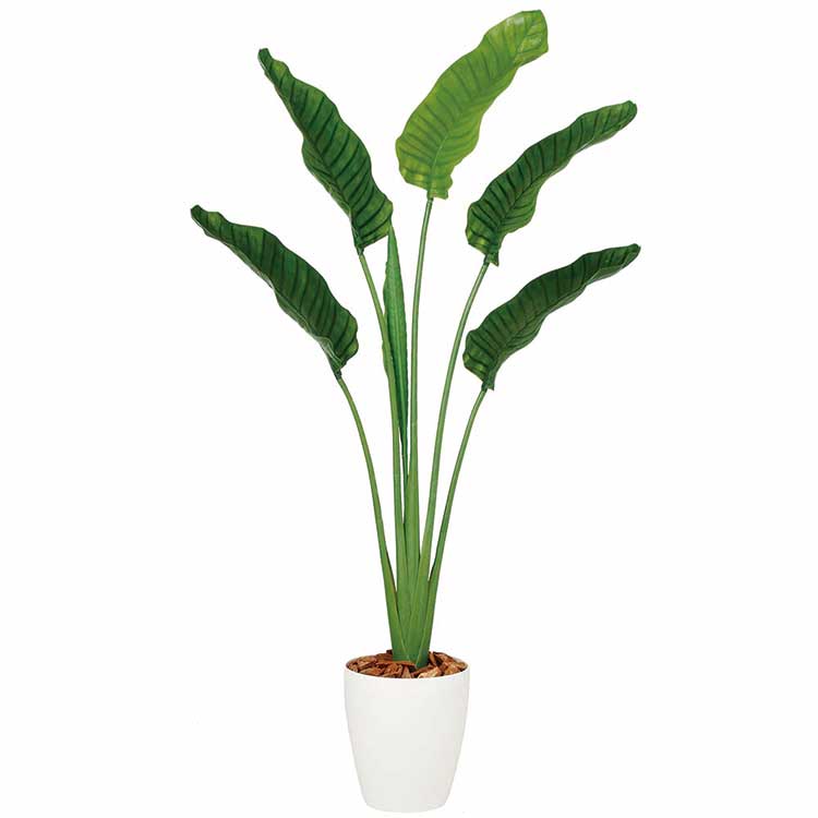 ストレリチア・オーガスタ 160cm 【観葉植物 造花 CT触媒/光触媒 フェイクグリーン】