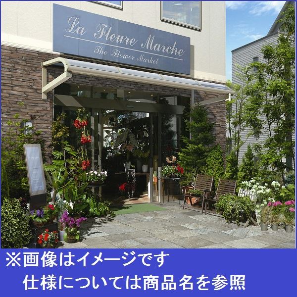 YKK ap 持ち出し屋根 ヴェクター 2間×3尺 アール型 ポリカ屋根 メーターモジュール(張り出しなし) 1500N/m2 1・2・3階設置用