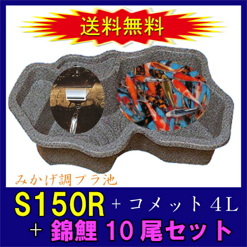 タカラ みかげ調プラ池S150R+コメット4L+錦鯉15cm前後 10尾セット【送料無料 沖縄・離島は別途見積 代引不可 同梱不可】【♭】