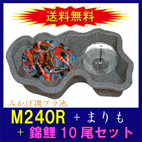 タカラ みかげ調プラ池M240R+まりも+錦鯉15cm前後 10尾セット【送料無料 沖縄・離島は別途見積 代引不可 同梱不可】【♭】