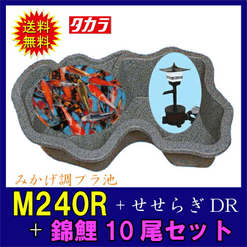 タカラ みかげ調プラ池M240R+せせらぎDR+錦鯉15cm前後 10尾セット【送料無料 沖縄・離島は別途見積 代引不可 同梱不可】【♭】