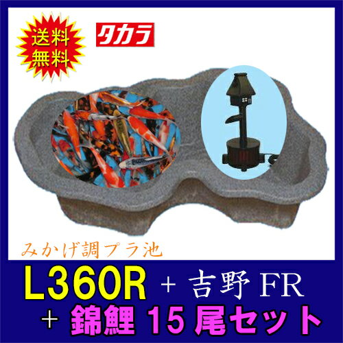 タカラ みかげ調プラ池L360R+吉野FR+錦鯉15cm前後 15尾セット【送料無料 沖縄・離島は別途見積 代引不可 同梱不可】【♭】