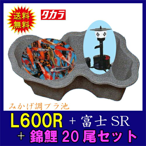 タカラ みかげ調プラ池L600R+富士SR+錦鯉15cm前後 20尾セット【送料無料 沖縄・離島は別途見積 代引不可 同梱不可】【♭】