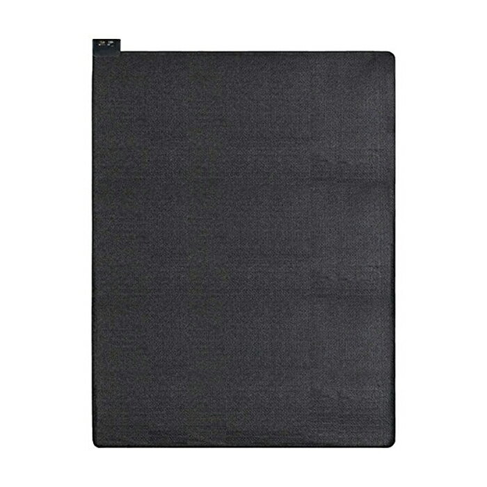 電磁波カット ホットカーペット 3畳 広電 CWU306D