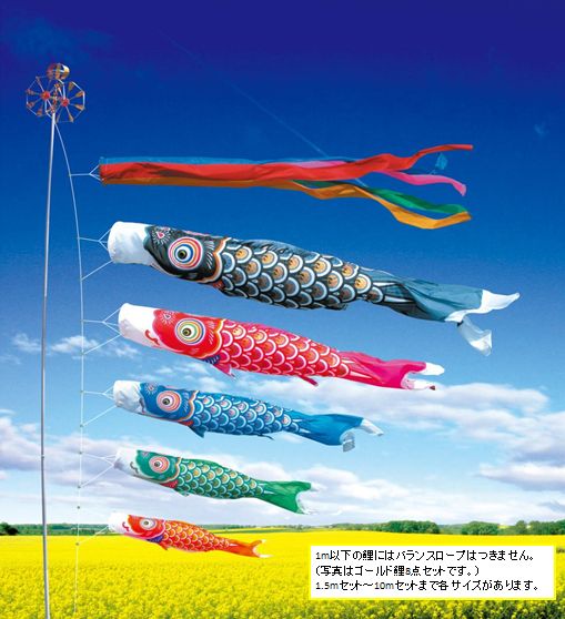 ゴールド鯉 3m 6点セット