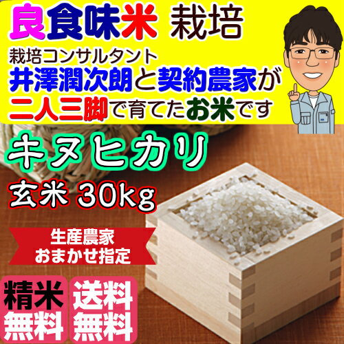 【楽天市場】【農家の米】キヌヒカリ【生産農家おまかせ指定】玄米30Kg【精米無料】つきたてをお届け！【平成29年 兵庫県稲美町産】 産地直送