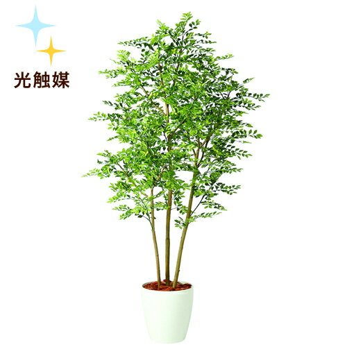 【今だけ15%OFF!!】送料無料【光触媒加工 ゴールデンリーフ FST RP鉢タイプ】W80cm×H180cm光触媒加工で脱臭 抗菌 抗ウィルス効果フェイクグリーン 光触媒 人工観葉植物 インテリアグリーン オフィスグリーンゴールデンリーフ