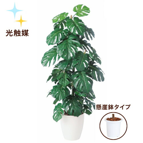 【今だけ15%OFF!!】送料無料【光触媒加工 モンステラ 懸崖鉢タイプ】W65cm×H140cm光触媒加工で脱臭 抗菌 抗ウィルス効果フェイクグリーン 光触媒 人工観葉植物 インテリアグリーン オフィスグリーン 人工樹木 造花モンステラ