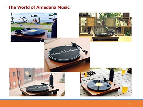 【送料無料】【Amadana Music UIZZ-18520 レコードプレーヤー SIBRECO】 b017ciszx6