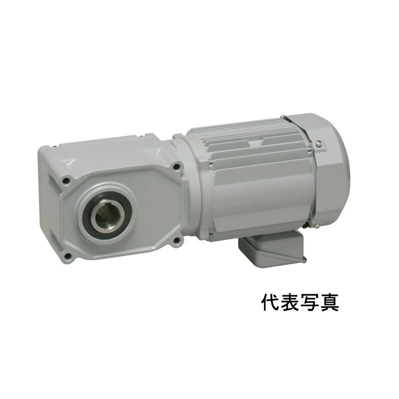 FS45S80-WP08TNNEN ニッセイ 中空軸 三相 防水タイプ ブレーキ無し AC200V 0.75kW