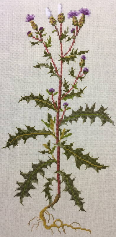 【DM便対応】フレメ Agertidsel セイヨウトゲアザミ 7B キット Haandarbejdets Fremme クロスステッチ デンマーク 北欧 ギルド 刺しゅう GB 30-3718,12