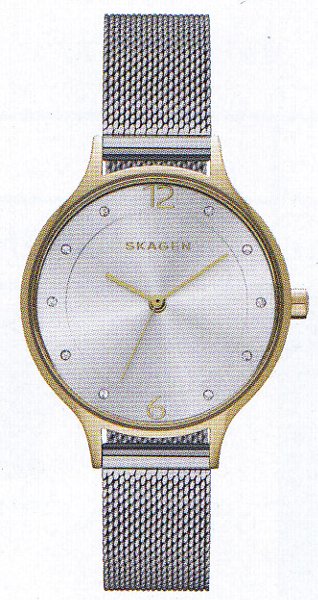 SKAGEN スカーゲンSUMMER 2015 LADIES NEW COLLECTION SKW2340 ANITA LADIES 【送料・代引き手数料無料】