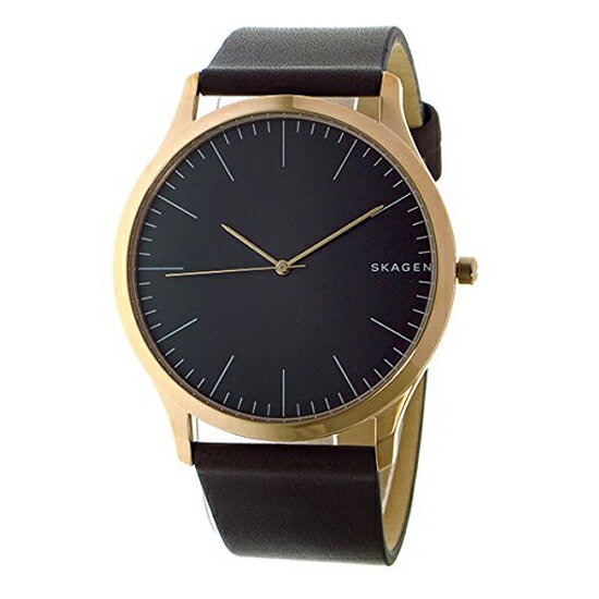 スカーゲン SKAGEN ジョーン SKW6330 メンズ 腕時計 グレー/ブラウン