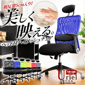 座面低反発5cm入り極厚13.5cm 至福の座り心地実現 椅子 デスクチェア ブルー