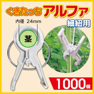 ★送料無料 大容量1000個入★紐誘引用 くきたっちアルファ24ミリ 1000個入トマト、ナス、きゅうり、などの茎の誘引にダブルフック形状