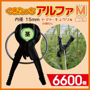 ★送料無料 6600個入★紐誘引用 くきたっちアルファM 細紐用15ミリ 6600個入トマト、ナス、きゅうり、などの茎の誘引にダブルフック形状