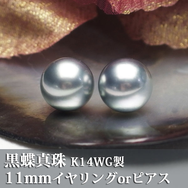【黒蝶真珠】選べる!黒蝶グレー系 11mmイヤリングorピアス K14WG製【送料無料】【あす楽対応】【smtb-m】【真珠 パール】【シルバー】【純チタン製】