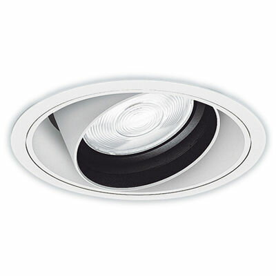【代引手数料無料】遠藤照明 LEDZ ARCHI series ユニバーサルダウンライト ERD4257W-S