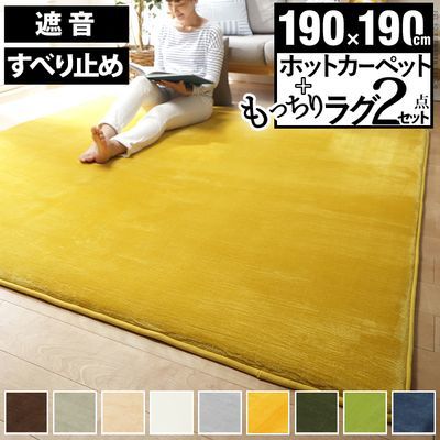 ナカムラ 低反発高反発フランネルホットカーペットセット 〔ステップ〕 2畳(190×190cm) 本体+カバー 正方形 s33100190vaid