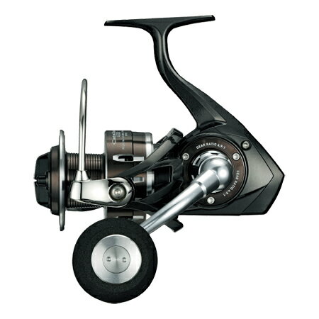 ダイワ (Daiwa)キャタリナ 5000