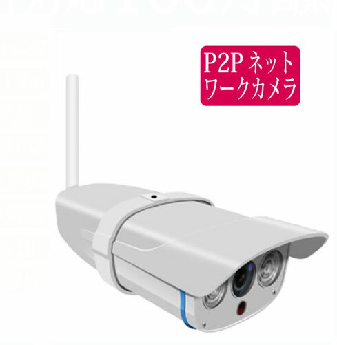 100万画素 屋外用 ネットワークカメラ RCC-7100WP 無線LAN、スマホ対応、SDカード,録画、動体検知録画他 (P2P IPカメラ rcc7100wp 有線LAN 赤外線 LED 距離15m IP67 防犯 監視)