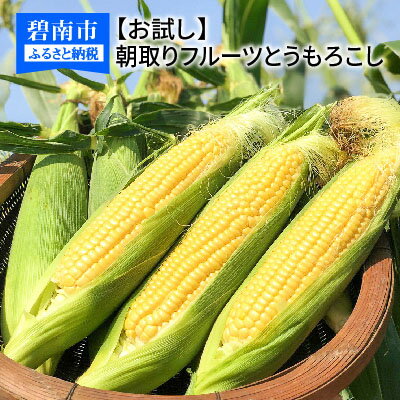 【ふるさと納税】【お試し】メロンより甘い！朝取りフルーツとうもろこし　3Lサイズ7本　 H095-002