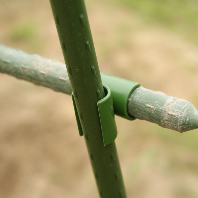 昼過ぎからの畑ランとセリアで道具購入 Let S Try 区民農園